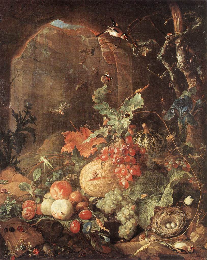 HEEM, Jan Davidsz. de Still-life with Bird-nest sg